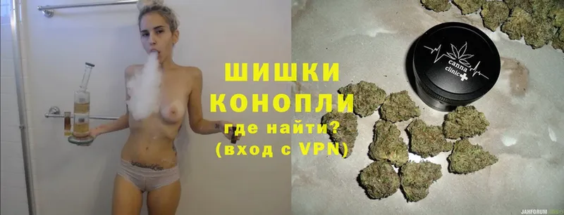 Бошки марихуана THC 21%  Канаш 